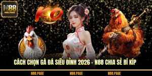 cách chọn gà đá siêu đỉnh 2026