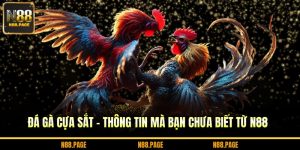 đá gà cựa sắt