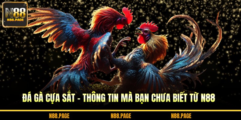 đá gà cựa sắt