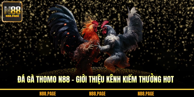 đá gà Thomo
