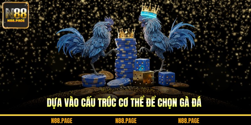 Dựa vào cấu trúc cơ thể để chọn gà đá