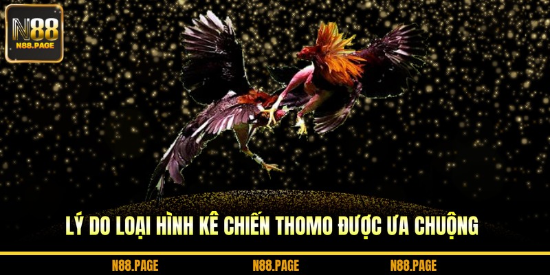 Lý do loại hình kê chiến Thomo được ưa chuộng