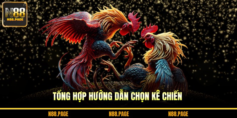 Tổng hợp hướng dẫn chọn kê chiến