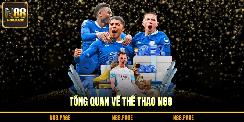 Tổng quan về thể thao N88