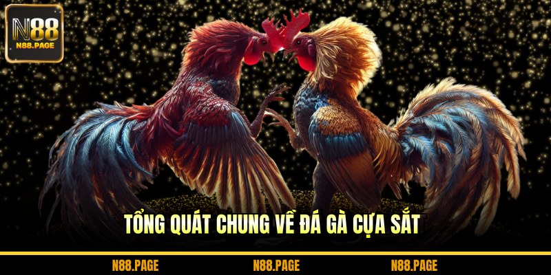Tổng quát chung về đá gà cựa sắt