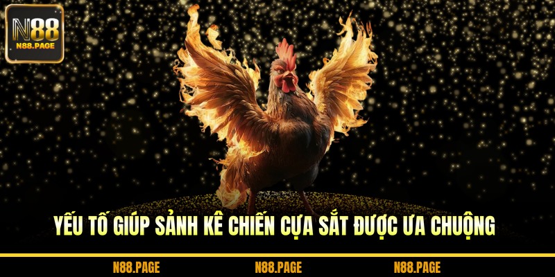 Yếu tố giúp sảnh kê chiến cựa sắt được ưa chuộng